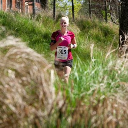 k2016 4.jpg (47339 bytes)